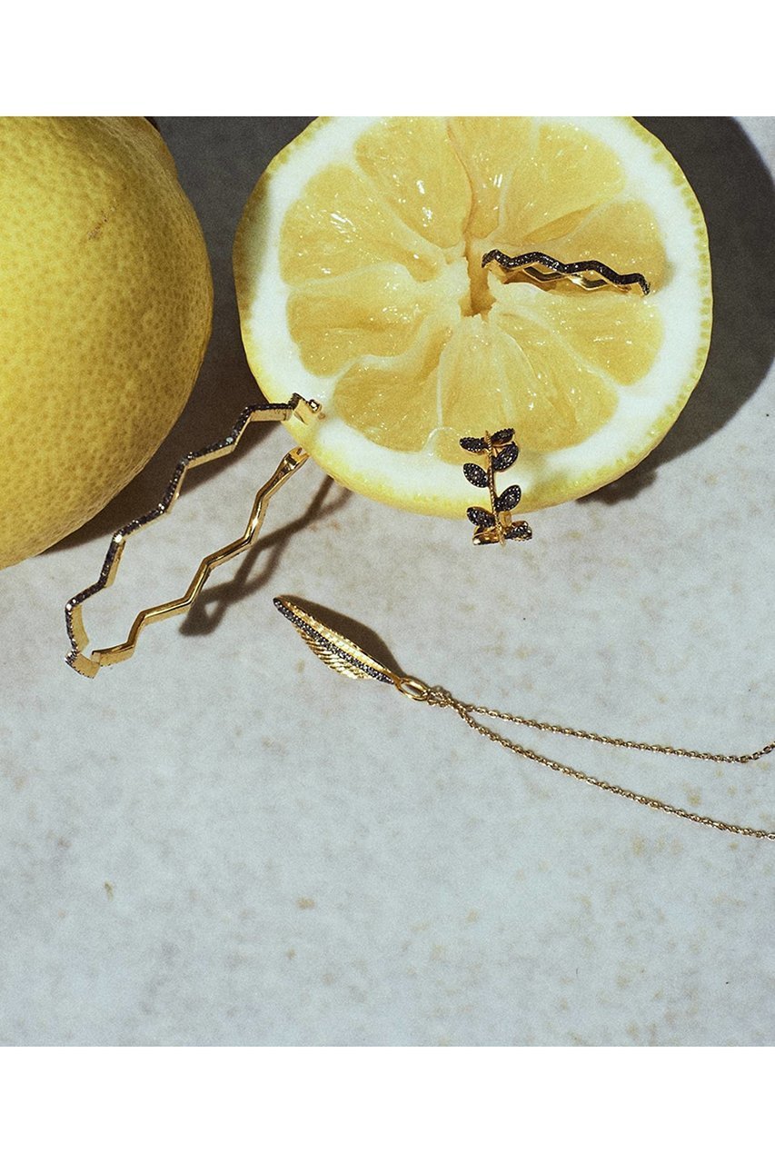 【アルティーダ ウード/ARTIDA OUD】のcitronnier リーフ パヴェダイヤモンド リング 人気、トレンドファッション・服の通販 founy(ファニー) ファッション Fashion レディースファッション Fashion for Women ジュエリー Jewelry おすすめ Recommended / Our Picks インド Indian Textile コーティング Coating, Coated Finish シルバー Silver, Metallic Silver ストーン Stone, Gem-Like ダイヤモンド Diamond, Brilliant Cut ベーシック Basic, Essential リーフ Leaf, Botanical Leaf other-3|ID: prp329100000035467 ipo3291000000035785061