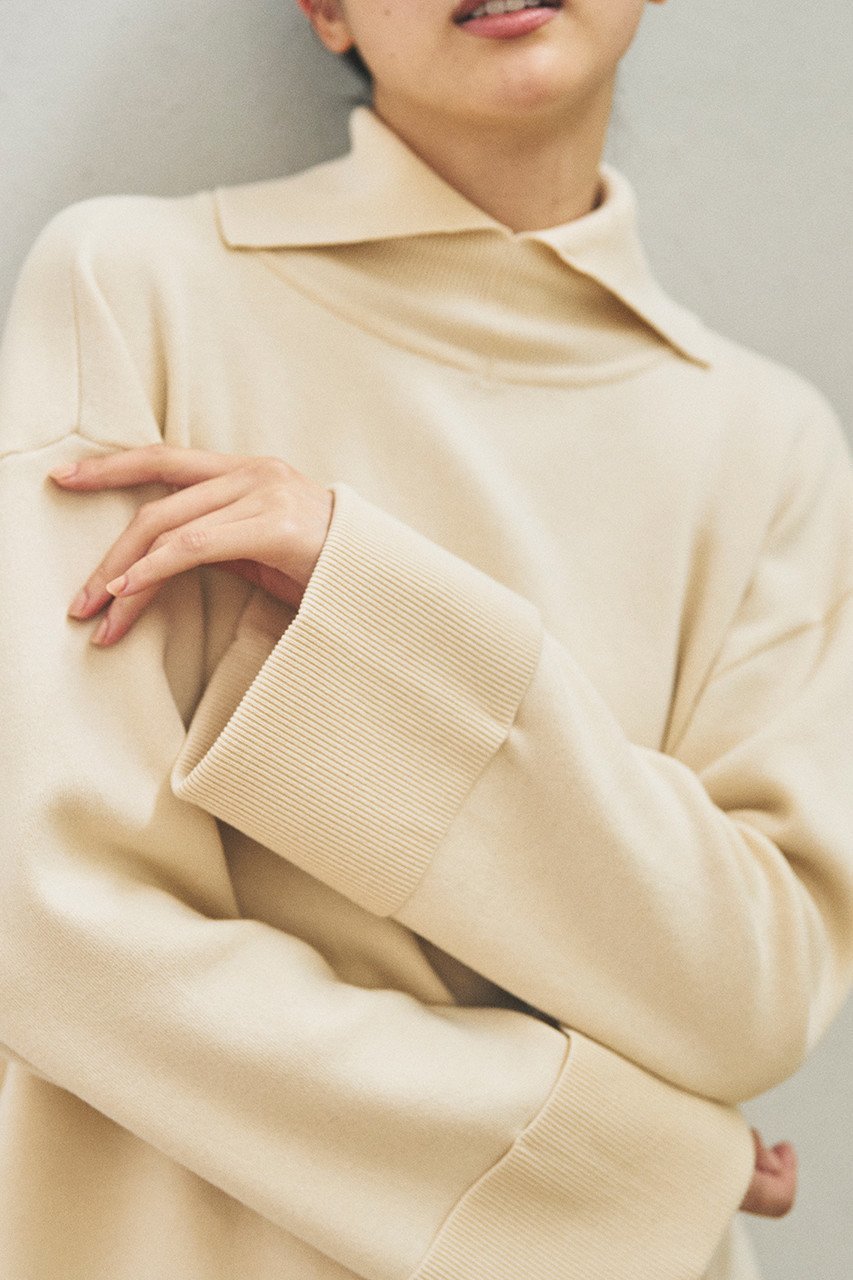 【プリスティン/PRISTINE】のカステラニットスリットタ-トル 人気、トレンドファッション・服の通販 founy(ファニー) 　ファッション　Fashion　レディースファッション　Fashion for Women　トップス・カットソー　Cut & Sew Tops　ニット　Knit Tops & Sweaters　カジュアルプルオーバー・ニットトップス　Pullovers & Knit Tops / Casual Pullovers　シンプル　Simple, Minimal　スリット　Slit, Slit Detail　スリーブ　Sleeve, Long Sleeve / Short Sleeve　タートル　Turtleneck, Turtle Collar　トレンド　Trend, Trending Now　other-6|ID: prp329100002826597 ipo3291000000032962994