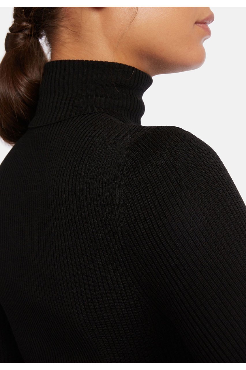 【ウォルフォード/Wolford】の52769 Merino Fine Rib Pullover ウールリブタートルネックニット 人気、トレンドファッション・服の通販 founy(ファニー) 　ファッション　Fashion　レディースファッション　Fashion for Women　トップス・カットソー　Cut & Sew Tops　ニット　Knit Tops & Sweaters　カジュアルプルオーバー・ニットトップス　Pullovers & Knit Tops / Casual Pullovers　タートルネック・ハイネックトップス　Turtlenecks & High-Neck Tops　インナー　Innerwear　シンプル　Simple, Minimal　パジャマ　Pajamas, Sleepwear　フィット　Fit, Slim Fit　定番　Standard, Basic Item　other-6|ID: prp329100002851646 ipo3291000000032831752