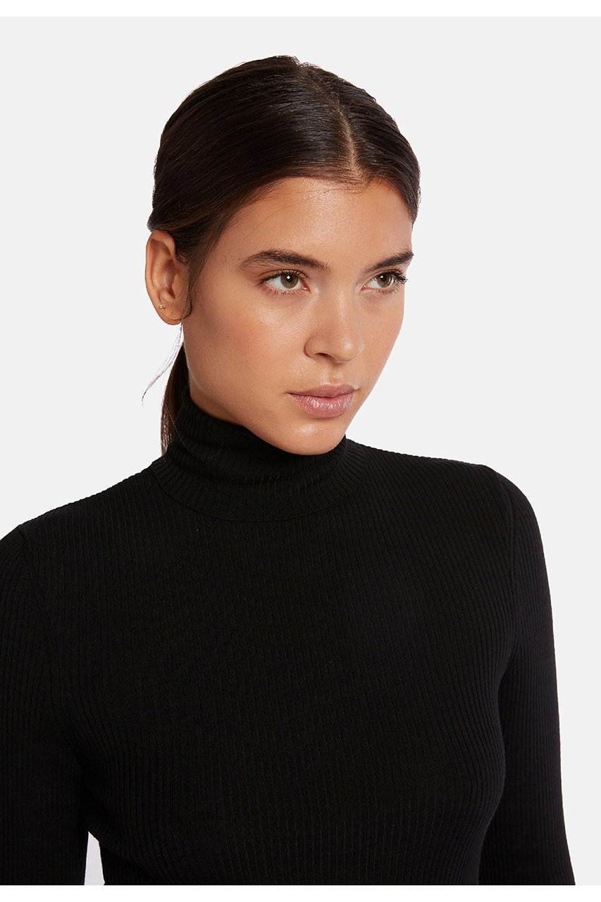 【ウォルフォード/Wolford】の52769 Merino Fine Rib Pullover ウールリブタートルネックニット 人気、トレンドファッション・服の通販 founy(ファニー) 　ファッション　Fashion　レディースファッション　Fashion for Women　トップス・カットソー　Cut & Sew Tops　ニット　Knit Tops & Sweaters　カジュアルプルオーバー・ニットトップス　Pullovers & Knit Tops / Casual Pullovers　タートルネック・ハイネックトップス　Turtlenecks & High-Neck Tops　インナー　Innerwear　シンプル　Simple, Minimal　パジャマ　Pajamas, Sleepwear　フィット　Fit, Slim Fit　定番　Standard, Basic Item　other-7|ID: prp329100002851646 ipo3291000000032831753