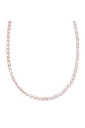 【ルボンボン/les bonbon】のrose pearl チョーカー 人気、トレンドファッション・服の通販 founy(ファニー) ファッション Fashion レディースファッション Fashion for Women ジュエリー Jewelry ネックレス Necklaces & Pendants チョーカー Tulle, Mesh Fabric ネックレス Necklace, Pendant Necklace パール Pearl, Pearl Accent フェミニン Feminine, Girly |ID:prp329100002940651