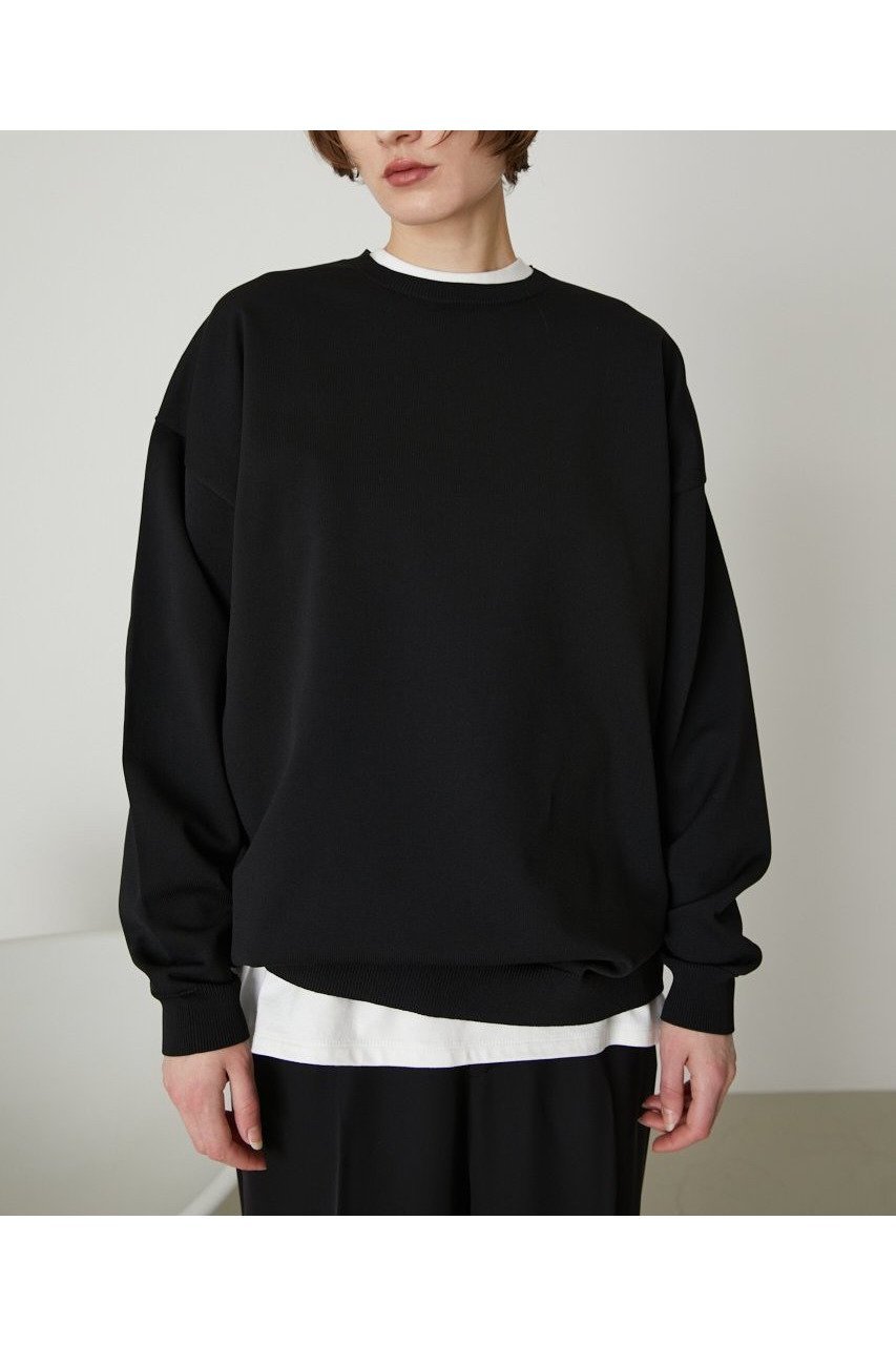 【リムアーク/RIM.ARK】のBasic R-neck knit PO(LARGE)/ニット インテリア・キッズ・メンズ・レディースファッション・服の通販 founy(ファニー) 　ファッション　Fashion　レディースファッション　WOMEN　トップス・カットソー　Tops/Tshirt　ニット　Knit Tops　プルオーバー　Pullover　インナー　Inner　カットソー　Cut And Sew　スウェット　Sweat　定番　Standard　ブラック|ID: prp329100003067851 ipo3291000000020882273