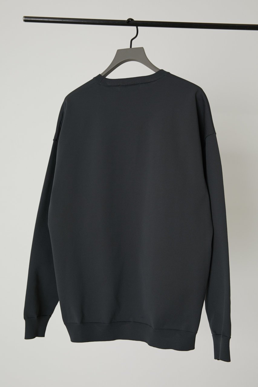 【リムアーク/RIM.ARK】のBasic R-neck knit PO(LARGE)/ニット 人気、トレンドファッション・服の通販 founy(ファニー) 　ファッション　Fashion　レディースファッション　Fashion for Women　トップス・カットソー　Cut & Sew Tops　ニット　Knit Tops & Sweaters　カジュアルプルオーバー・ニットトップス　Pullovers & Knit Tops / Casual Pullovers　インナー　Innerwear　カットソー　Cut and Sewn Top　スウェット / スエット　Sweatshirt, Sweatwear　定番　Standard, Basic Item　other-7|ID: prp329100003067851 ipo3291000000032964784