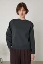 【リムアーク/RIM.ARK】のBasic R-neck knit PO(SMALL)/ニット 人気、トレンドファッション・服の通販 founy(ファニー) ファッション Fashion レディースファッション Fashion for Women トップス・カットソー Cut & Sew Tops ニット Knit Tops & Sweaters カジュアルプルオーバー・ニットトップス Pullovers & Knit Tops / Casual Pullovers インナー Innerwear カットソー Cut and Sewn Top スウェット / スエット Sweatshirt, Sweatwear 定番 Standard, Basic Item thumbnail グレー|ID: prp329100003067852 ipo3291000000035721856