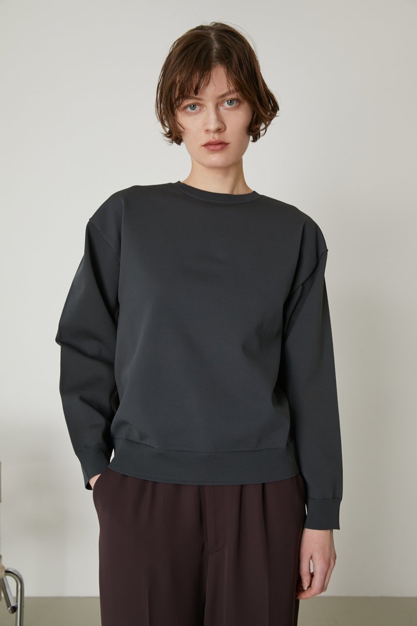 【リムアーク/RIM.ARK】のBasic R-neck knit PO(SMALL)/ニット インテリア・キッズ・メンズ・レディースファッション・服の通販 founy(ファニー) 　ファッション　Fashion　レディースファッション　Fashion for Women　トップス・カットソー　Cut & Sew Tops　ニット　Knit Tops & Sweaters　カジュアルプルオーバー・ニットトップス　Pullovers & Knit Tops / Casual Pullovers　インナー　Innerwear　カットソー　Cut and Sewn Top　スウェット / スエット　Sweatshirt, Sweatwear　定番　Standard, Basic Item　グレー|ID: prp329100003067852 ipo3291000000035721856