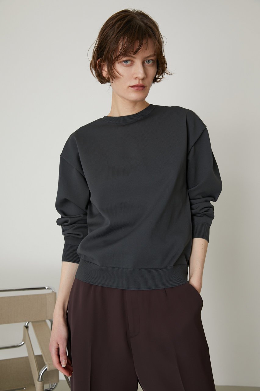 【リムアーク/RIM.ARK】のBasic R-neck knit PO(SMALL)/ニット 人気、トレンドファッション・服の通販 founy(ファニー) 　ファッション　Fashion　レディースファッション　Fashion for Women　トップス・カットソー　Cut & Sew Tops　ニット　Knit Tops & Sweaters　カジュアルプルオーバー・ニットトップス　Pullovers & Knit Tops / Casual Pullovers　インナー　Innerwear　カットソー　Cut and Sewn Top　スウェット / スエット　Sweatshirt, Sweatwear　定番　Standard, Basic Item　other-8|ID: prp329100003067852 ipo3291000000035721863