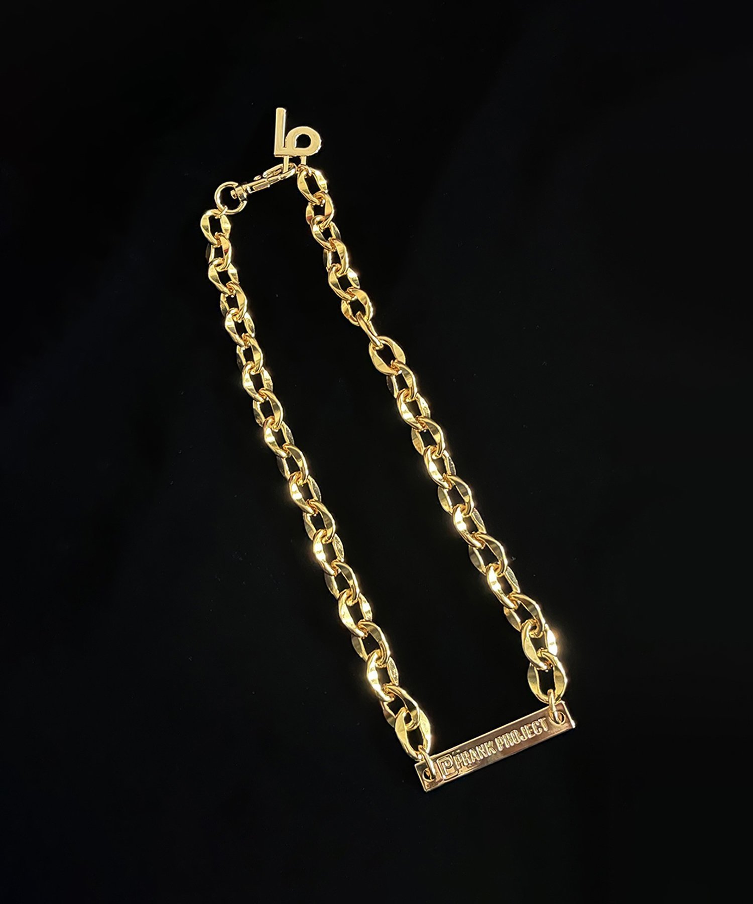 【プランク プロジェクト/PRANK PROJECT】のロゴプレートチョーカー / Logo Plate Choker 人気、トレンドファッション・服の通販 founy(ファニー) 　ファッション　Fashion　レディースファッション　Fashion for Women　ジュエリー　Jewelry　ネックレス　Necklaces & Pendants　チョーカー　Tulle, Mesh Fabric　ネックレス　Necklace, Pendant Necklace　ブレスレット　Bracelet, Wristband　プレート　Plate, Dish　other-5|ID: prp329100003135178 ipo3291000000035386356