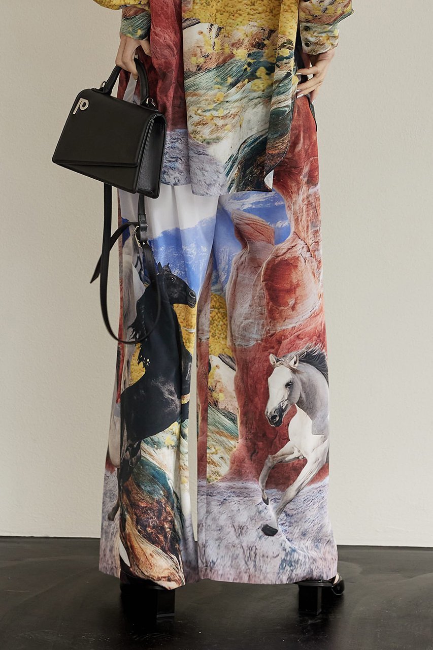 【プランク プロジェクト/PRANK PROJECT】のホースプリントワイドパンツ / Horse Printed Wide Pants 人気、トレンドファッション・服の通販 founy(ファニー) 　ファッション　Fashion　レディースファッション　Fashion for Women　パンツ　Pants & Trousers　おすすめ　Recommended / Our Picks　カラフル　Colorful Design　セットアップ　Set-Up, Coordinated Outfit　プリント　Print, Printed Pattern　ワイド　Wide, Wide Fit　other-7|ID: prp329100003135197 ipo3291000000035422606