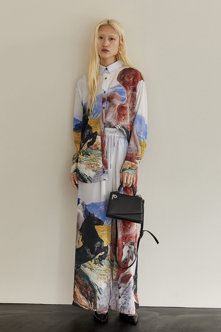 【プランク プロジェクト/PRANK PROJECT】のホースプリントワイドパンツ / Horse Printed Wide Pants 人気、トレンドファッション・服の通販 founy(ファニー) 　ファッション　Fashion　レディースファッション　Fashion for Women　パンツ　Pants & Trousers　おすすめ　Recommended / Our Picks　カラフル　Colorful Design　セットアップ　Set-Up, Coordinated Outfit　プリント　Print, Printed Pattern　ワイド　Wide, Wide Fit　other-8|ID: prp329100003135197 ipo3291000000035422608