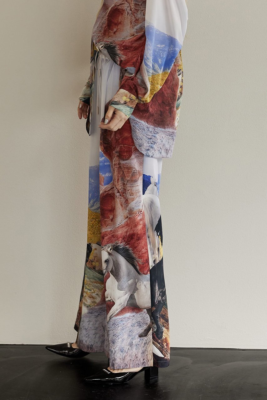 【プランク プロジェクト/PRANK PROJECT】のホースプリントワイドパンツ / Horse Printed Wide Pants 人気、トレンドファッション・服の通販 founy(ファニー) 　ファッション　Fashion　レディースファッション　Fashion for Women　パンツ　Pants & Trousers　おすすめ　Recommended / Our Picks　カラフル　Colorful Design　セットアップ　Set-Up, Coordinated Outfit　プリント　Print, Printed Pattern　ワイド　Wide, Wide Fit　other-6|ID: prp329100003135197 ipo3291000000035945957