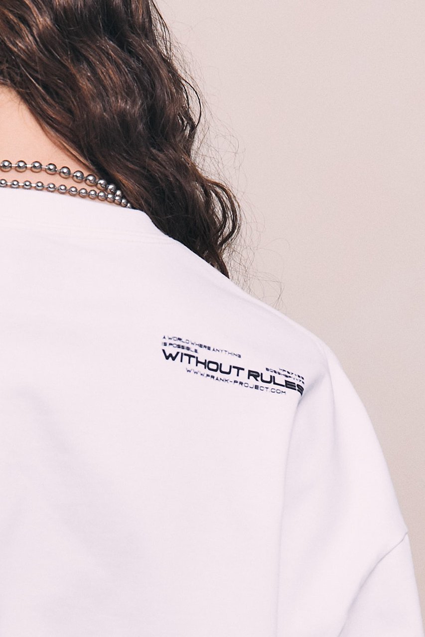 【プランク プロジェクト/PRANK PROJECT】のVIRTUALロングTEE / VIRTUAL Long Sleeve Tee 人気、トレンドファッション・服の通販 founy(ファニー) 　ファッション　Fashion　レディースファッション　Fashion for Women　トップス・カットソー　Cut & Sew Tops　シャツ・ブラウス・オフィスカジュアル　Elegant Blouses & Button-Ups　ロングTシャツ・Tシャツ　Longline T-Shirts & Tees　カットソー・ベーシックTシャツ　Cut-and-Sewn Tops / Stretch Tees & Basics　おすすめ　Recommended / Our Picks　ウォッシャブル　Machine Washable　スリーブ　Sleeve, Long Sleeve / Short Sleeve　プリント　Print, Printed Pattern　ボトム　Bottoms, Lower Wear　メタル　Metal, Metal Parts　ロング　Long, Long-Length　other-6|ID: prp329100003135219 ipo3291000000036653794