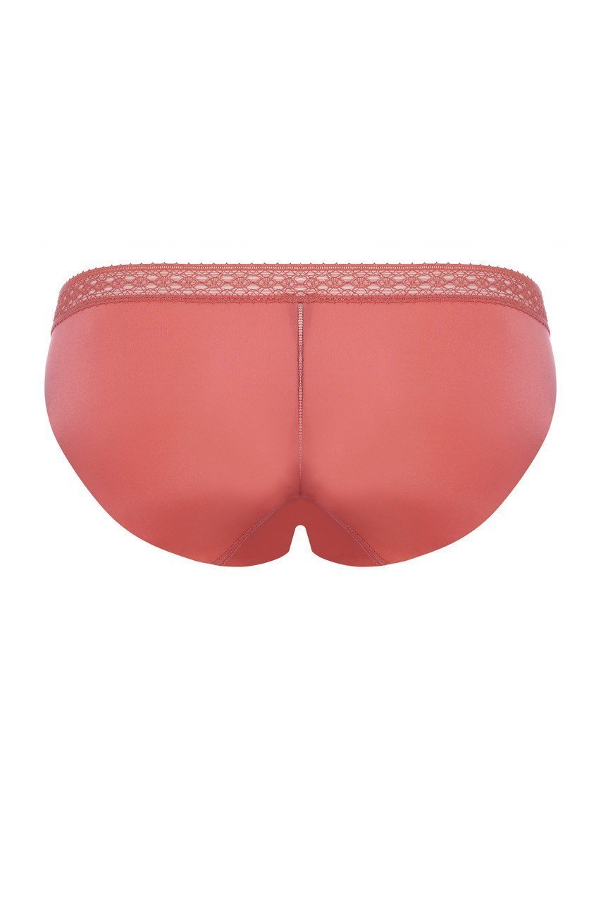 【エス バイ スロギー/S by sloggi】のサブトル ハイキニ sloggi S Subtle High Leg Brief JX 人気、トレンドファッション・服の通販 founy(ファニー) ファッション Fashion レディースファッション Fashion for Women 下着・ランジェリー Lingerie & Intimates ショーツ・ランジェリー用ボトムス Panties / Briefs / Lingerie Bottoms インナー Innerwear ショーツ Shorts, Short Pants プリント Print, Printed Pattern モダン Modern, Contemporary ランジェリー Lingerie, Intimate Wear レース Lace, Lace Fabric 再入荷 Restock / Back in Stock other-3|ID: prp329100003252100 ipo3291000000034886567