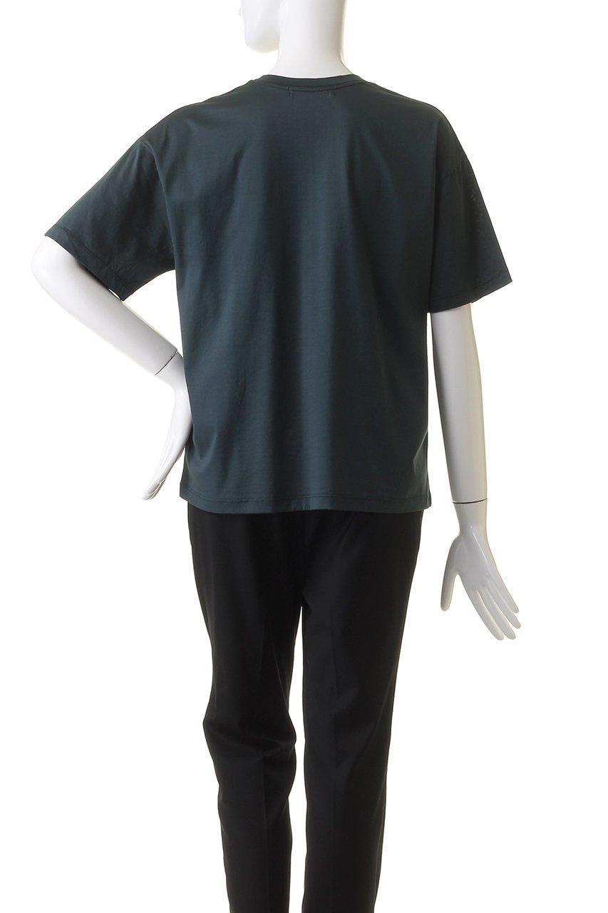 【スタニングルアー/STUNNING LURE】のレギュラーTシャツ 人気、トレンドファッション・服の通販 founy(ファニー) 　ファッション　Fashion　レディースファッション　Fashion for Women　トップス・カットソー　Cut & Sew Tops　シャツ・ブラウス・オフィスカジュアル　Elegant Blouses & Button-Ups　ロングTシャツ・Tシャツ　Longline T-Shirts & Tees　カットソー・ベーシックTシャツ　Cut-and-Sewn Tops / Stretch Tees & Basics　インナー　Innerwear　ショート　Short, Short Length　シンプル　Simple, Minimal　スリーブ　Sleeve, Long Sleeve / Short Sleeve　レギュラー　Regular, Standard Fit　半袖　Short Sleeve, Half Sleeve　other-4|ID: prp329100003287960 ipo3291000000035638900