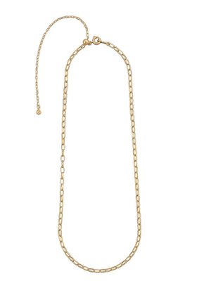 【プラス ヴァンドーム/Plus Vendome】 ブラウンダイヤモンド チェーン ネックレス人気、トレンドファッション・服の通販 founy(ファニー) ファッション Fashion レディースファッション Fashion for Women ジュエリー Jewelry ネックレス Necklaces & Pendants おすすめ Recommended / Our Picks ショート Short, Short Length シンプル Simple, Minimal ジャケット Jacket, Outerwear ダイヤモンド Diamond, Brilliant Cut チェーン Chain, Chain Strap ネックレス Necklace, Pendant Necklace メタル Metal, Metal Parts 再入荷 Restock / Back in Stock |ID:prp329100003392227