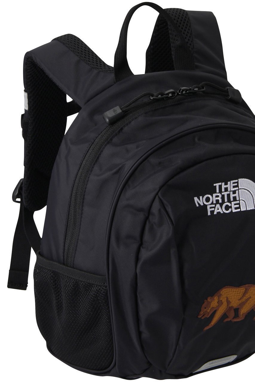 【ザ ノース フェイス/THE NORTH FACE / KIDS】の【KIDS】ホームスライス ブラック F 人気、トレンドファッション・服の通販 founy(ファニー) 　ファッション　Fashion　キッズファッション　Fashion for Kids　おすすめ　Recommended / Our Picks　デイパック　Daypack, Casual Backpack　フォルム　Silhouette, Form　ポケット　Pocket, Pocket Detail　ポーチ　Pouch, Small Case　リュック　Backpack, Rucksack　other-3|ID: prp329100003546397 ipo3291000000036246687