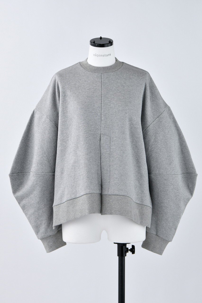 【ナゴンスタンス/nagonstans】のBrushed Sweat フロントベンツ P.O/プルオーバー インテリア・キッズ・メンズ・レディースファッション・服の通販 founy(ファニー) 　ファッション　Fashion　レディースファッション　WOMEN　トップス・カットソー　Tops/Tshirt　シャツ/ブラウス　Shirts/Blouses　パーカ　Sweats　ロング / Tシャツ　T-Shirts　プルオーバー　Pullover　スウェット　Sweat　カットソー　Cut and Sewn　インナー　Inner　フロント　Front　リラックス　Relax　Wolf|ID: prp329100003624202 ipo3291000000023822144