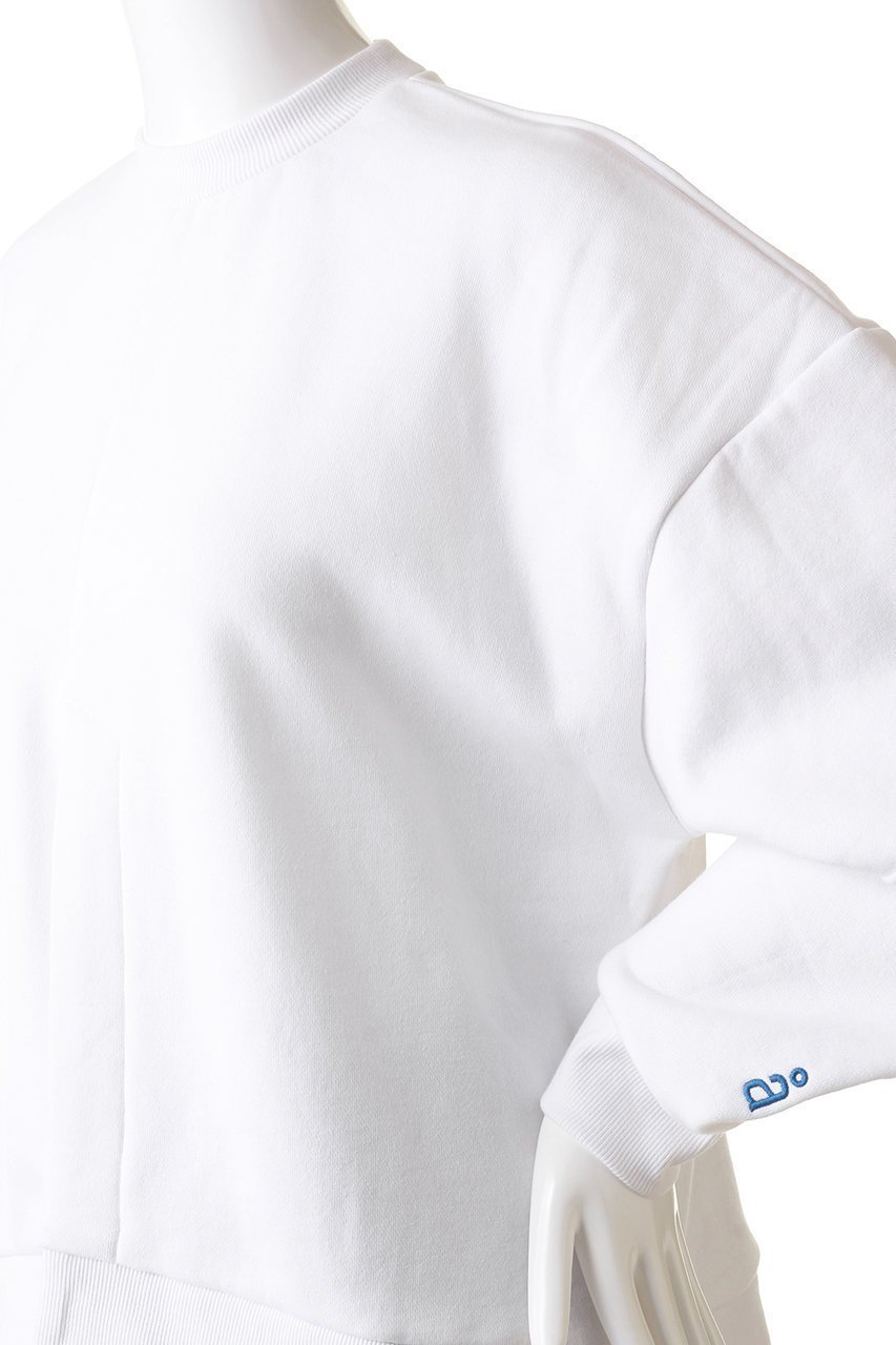 【ナゴンスタンス/nagonstans】のBrushed Sweat フロントベンツ P.O/プルオーバー 人気、トレンドファッション・服の通販 founy(ファニー) 　ファッション　Fashion　レディースファッション　WOMEN　トップス・カットソー　Tops/Tshirt　シャツ/ブラウス　Shirts/Blouses　パーカ　Sweats　ロング / Tシャツ　T-Shirts　プルオーバー　Pullover　スウェット　Sweat　カットソー　Cut and Sewn　インナー　Inner　フロント　Front　リラックス　Relax　other-5|ID: prp329100003624202 ipo3291000000031395895