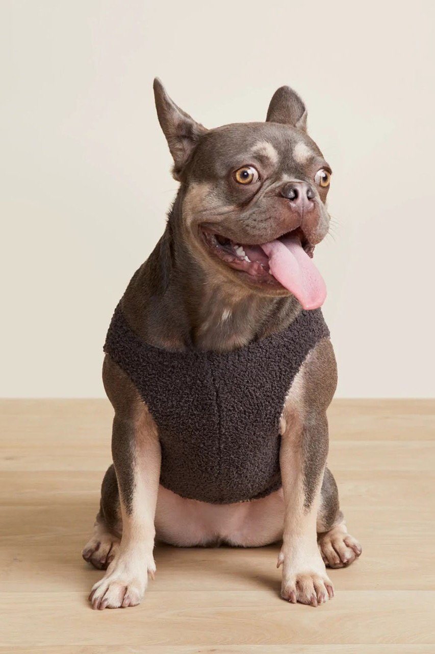 【ベアフットドリームス/BAREFOOT DREAMS / GOODS】の【ペットグッズ】コージーシック ハートモチーフ ペットセーター(犬服) 人気、トレンドファッション・服の通販 founy(ファニー) おすすめ Recommended / Our Picks なめらか Smooth, Silky Texture スリット Slit, Slit Detail セーター Sweater, Knitwear モチーフ Motif, Design Theme ラッセル Raschel, Raschel Lace 犬 Dog ホーム・キャンプ・アウトドア・お取り寄せ Home Living / Home & Lifestyle / Camping Gear / Outdoor Camping ペットグッズ Pet Supplies other-4|ID: prp329100003625859 ipo3291000000035414801