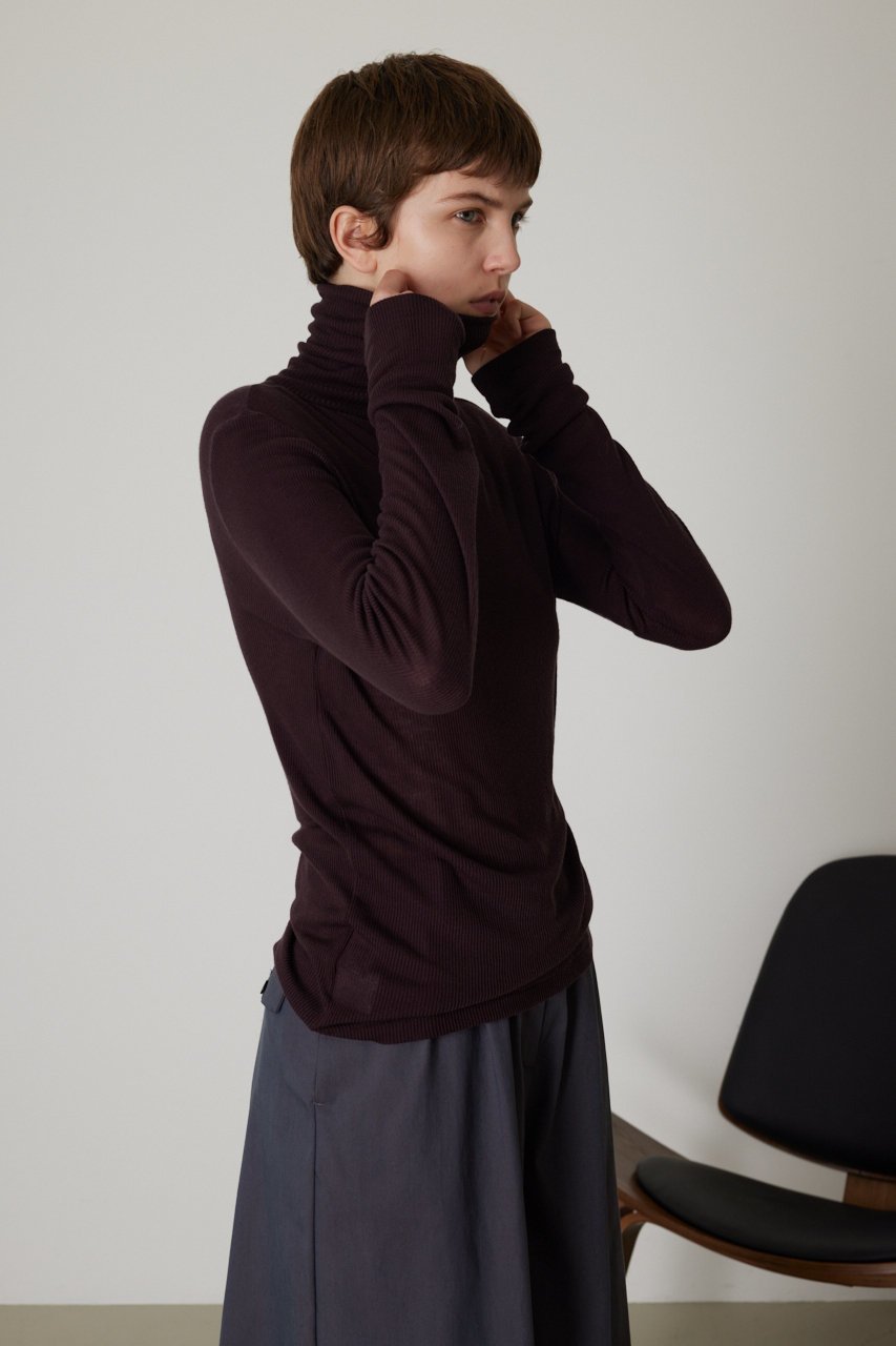 【リムアーク/RIM.ARK】のStandard turtleneck cut tops/トップス 人気、トレンドファッション・服の通販 founy(ファニー) ファッション Fashion レディースファッション Fashion for Women トップス・カットソー Cut & Sew Tops シャツ・ブラウス・オフィスカジュアル Elegant Blouses & Button-Ups ロングTシャツ・Tシャツ Longline T-Shirts & Tees カットソー・ベーシックTシャツ Cut-and-Sewn Tops / Stretch Tees & Basics タートルネック・ハイネックトップス Turtlenecks & High-Neck Tops インナー Innerwear カットソー Cut and Sewn Top スリーブ Sleeve, Long Sleeve / Short Sleeve タートルネック Turtleneck, High Neck テレコ Ribbed, Rib Stitch ロング Long, Long-Length A/W・秋冬 Autumn/Winter other-6|ID: prp329100003625892 ipo3291000000032890402
