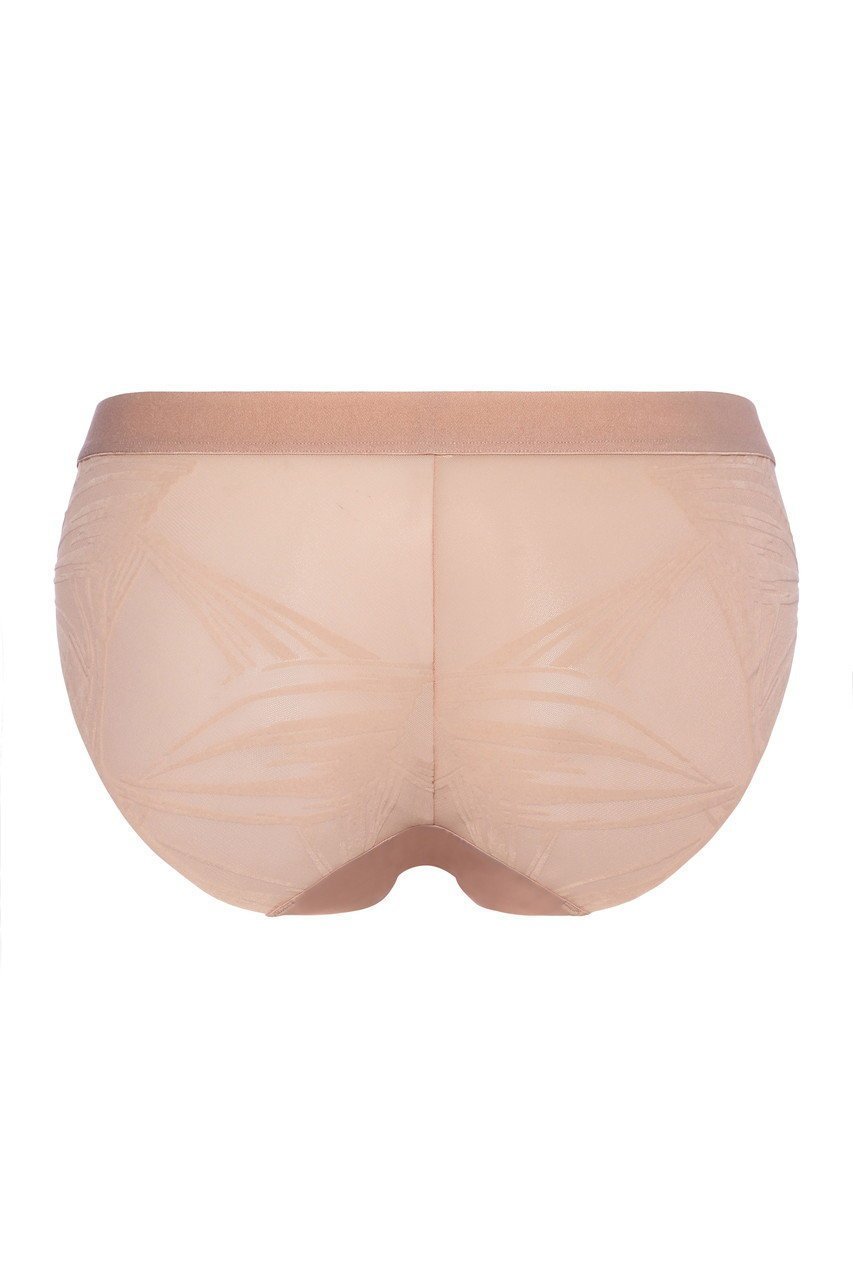 【エス バイ スロギー/S by sloggi】のエス バイ スロギー ロージー ウッズ ハイキニsloggi S x Rosie Woods High Leg Brief JX 人気、トレンドファッション・服の通販 founy(ファニー) 　ファッション　Fashion　レディースファッション　Fashion for Women　下着・ランジェリー　Lingerie & Intimates　ショーツ・ランジェリー用ボトムス　Panties / Briefs / Lingerie Bottoms　クール　Cool, Chic　ショーツ　Shorts, Short Pants　ボンディング　Bonding, Bonded Fabric　メッシュ　Mesh, Net Fabric　モダン　Modern, Contemporary　ランジェリー　Lingerie, Intimate Wear　レース　Lace, Lace Fabric　other-3|ID: prp329100003635408 ipo3291000000031370003
