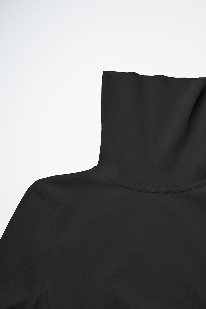 【デイジーリン/DAISY LIN】のWashable Audrey High Neck 人気、トレンドファッション・服の通販 founy(ファニー) 　ファッション　Fashion　レディースファッション　Fashion for Women　トップス・カットソー　Cut & Sew Tops　シャツ・ブラウス・オフィスカジュアル　Elegant Blouses & Button-Ups　ロングTシャツ・Tシャツ　Longline T-Shirts & Tees　カットソー・ベーシックTシャツ　Cut-and-Sewn Tops / Stretch Tees & Basics　インナー　Innerwear　ウォッシャブル　Machine Washable　洗える　Machine Washable　シンプル　Simple, Minimal　ジャケット　Jacket, Outerwear　スタイリッシュ　Stylish, Fashionable　ストレッチ　Stretch, Stretchy Fabric　スリーブ　Sleeve, Long Sleeve / Short Sleeve　なめらか　Smooth, Silky Texture　ハイネック　High Neck, Mock Neck　パターン　Pattern, Design Print　ロング　Long, Long-Length　新作・新入荷　New Arrivals / New In　other-3|ID: prp329100003661031 ipo3291000000034420159