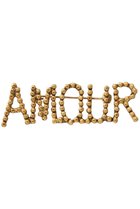 【アデル ビジュー/ADER bijoux】のCUTSTEEL amour ブローチ ゴールド|ID:prp329100003706997