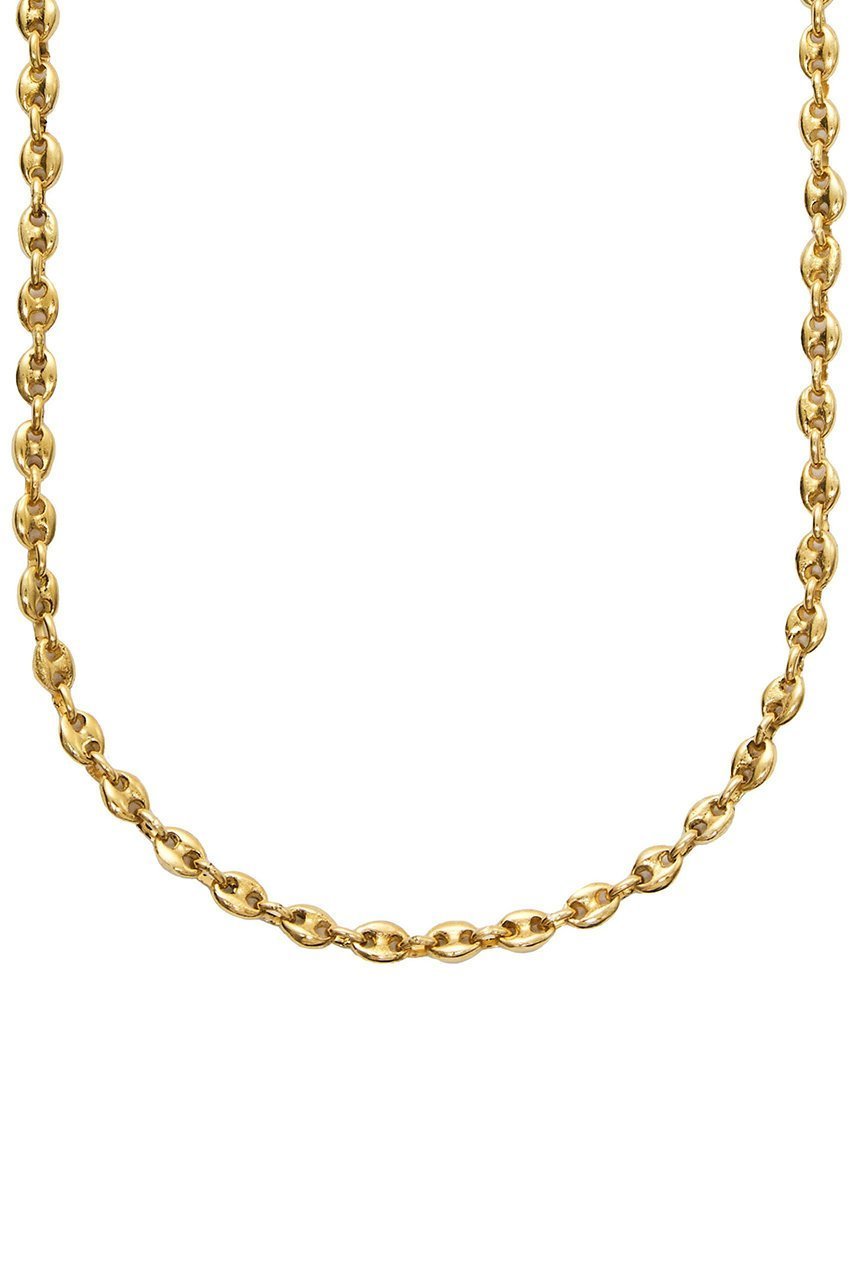 【クイップ クエイント/quip queint】のanker chain チョーカー 人気、トレンドファッション・服の通販 founy(ファニー) 　ファッション　Fashion　レディースファッション　Ladies' Fashion Online　ジュエリー　Jewelry　ネックレス　Necklaces　クラシカル　Classical　ネックレス　Necklace　フォルム　Form　other-3|ID: prp329100003715062 ipo3291000000031339032
