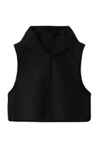 【プレインピープル/PLAIN PEOPLE】のキルティングベスト 人気、トレンドファッション・服の通販 founy(ファニー) ファッション Fashion レディースファッション Fashion for Women アウター Coat / Outerwear Collection レディースジャケット・軽アウター Jackets おすすめ Recommended / Our Picks インナー Innerwear カットソー Cut and Sewn Top キルティング Quilted, Quilting コンパクト Compact, Small Size シアー Sheer, See-Through ジャケット Jacket, Outerwear タイプライター Typewriter Fabric, Crisp Cotton ダウン Down, Puffer ベスト Vest, Waistcoat 春 Spring thumbnail ブラック|ID: prp329100003722190 ipo3291000000035491735