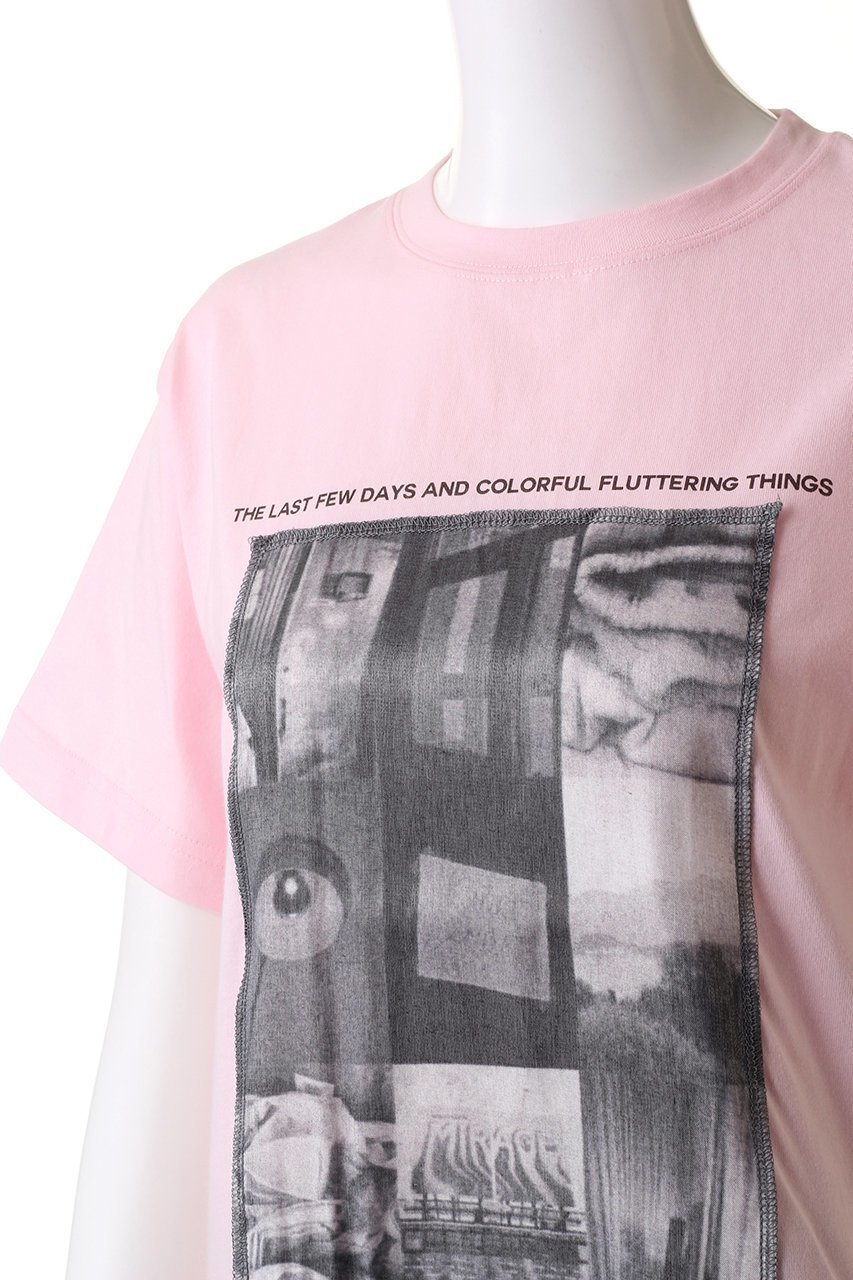 【メゾンスペシャル/MAISON SPECIAL】のGlitter Photo T-shirt/キラキラフォトTシャツ 人気、トレンドファッション・服の通販 founy(ファニー) 　ファッション　Fashion　レディースファッション　Fashion for Women　トップス・カットソー　Cut & Sew Tops　シャツ・ブラウス・オフィスカジュアル　Elegant Blouses & Button-Ups　ロングTシャツ・Tシャツ　Longline T-Shirts & Tees　カットソー・ベーシックTシャツ　Cut-and-Sewn Tops / Stretch Tees & Basics　インナー　Innerwear　コンパクト　Compact, Small Size　ショート　Short, Short Length　ジャケット　Jacket, Outerwear　スリーブ　Sleeve, Long Sleeve / Short Sleeve　プリント　Print, Printed Pattern　夏　Summer　other-5|ID: prp329100003724140 ipo3291000000036666337