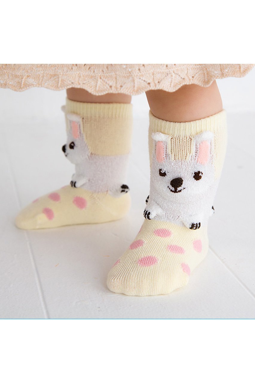 【ポプキンズ/POMPKINS / KIDS】の【BABY】【POP UP SOX】うさぎ 人気、トレンドファッション・服の通販 founy(ファニー) 　ファッション　Fashion　キッズファッション　Fashion for Kids　シューズ　Shoes, Footwear　ソックス　Socks, Hosiery　ドット　Polka Dot, Dot Pattern　日本製　Made In Japan　other-2|ID: prp329100003724817 ipo3291000000036236746