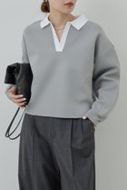 【ガリャルダガランテ/GALLARDAGALANTE】のラガーニット 人気、トレンドファッション・服の通販 founy(ファニー) ファッション Fashion レディースファッション WOMEN トップス・カットソー Tops/Tshirt ニット Knit Tops プルオーバー Pullover 2025年 2025 2025春夏・S/S Ss,Spring/Summer,2025 ショート Short スキッパー Skipper バランス Balance ボトム Bottom 夏 Summer 春 Spring S/S・春夏 Ss・Spring/Summer thumbnail グレー|ID: prp329100003726747 ipo3291000000030449399