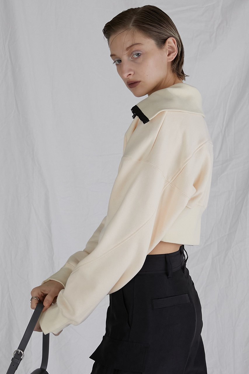【プランク プロジェクト/PRANK PROJECT】のフックアイカラークロップドスウェット / Hook Eye Collar Cropped Sweatshirt 人気、トレンドファッション・服の通販 founy(ファニー) 　ファッション　Fashion　レディースファッション　Fashion for Women　トップス・カットソー　Cut & Sew Tops　シャツ・ブラウス・オフィスカジュアル　Elegant Blouses & Button-Ups　レディースパーカー・カジュアルフーディー　Casual Hoodies & Sweatshirts　ロングTシャツ・Tシャツ　Longline T-Shirts & Tees　スウェット・クルーネックトップス　Sweatshirts & Crewnecks / Relaxed Fit Sweat Tops　カットソー・ベーシックTシャツ　Cut-and-Sewn Tops / Stretch Tees & Basics　おすすめ　Recommended / Our Picks　フロント　Front, Front Design　ボトム　Bottoms, Lower Wear　other-8|ID: prp329100003757592 ipo3291000000032842071