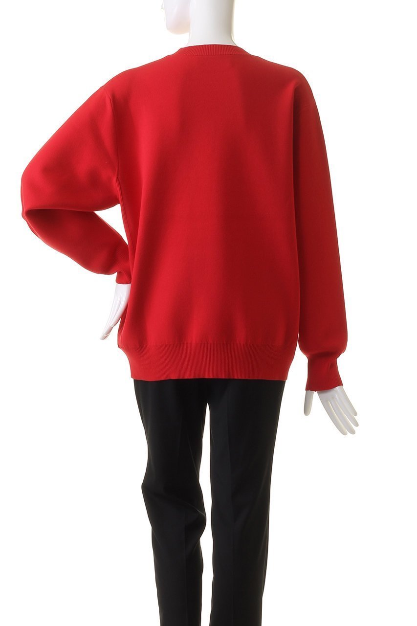 【スリー ドッツ/three dots】のパワースムースニットクルーネック 人気、トレンドファッション・服の通販 founy(ファニー) ファッション Fashion レディースファッション Fashion for Women トップス・カットソー Cut & Sew Tops ニット Knit Tops & Sweaters カジュアルプルオーバー・ニットトップス Pullovers & Knit Tops / Casual Pullovers おすすめ Recommended / Our Picks なめらか Smooth, Silky Texture スウェット / スエット Sweatshirt, Sweatwear ホリデーシーズン Holiday Season other-4|ID: prp329100003767628 ipo3291000000036524427