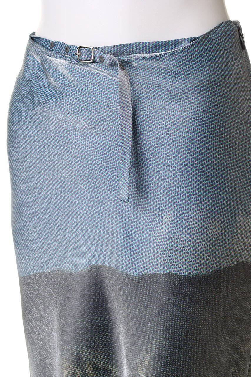 【メゾンスペシャル/MAISON SPECIAL】のMountain Dream Print Skirt/マウンテンドリームプリントスカート 人気、トレンドファッション・服の通販 founy(ファニー) 　ファッション　Fashion　レディースファッション　Fashion for Women　スカート　Skirts　ロングスカート　Long Skirts / Maxi & Midi Skirts　カッティング　Cutting Detail　ドレープ　Drape, Draping Fabric　ハンド　Hand, Handmade　フェミニン　Feminine, Girly　フレア　Flare, Flared　プリント　Print, Printed Pattern　モチーフ　Motif, Design Theme　ラグジュアリー　Luxury, Elegant　ロング　Long, Long-Length　other-5|ID: prp329100003770571 ipo3291000000035814347