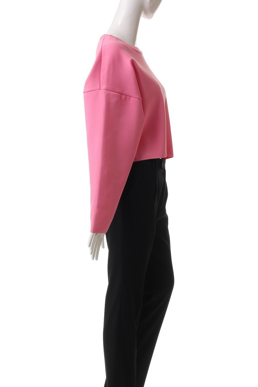 【スタニングルアー/STUNNING LURE】のアモッサショートプルオーバー 人気、トレンドファッション・服の通販 founy(ファニー) 　ファッション　Fashion　レディースファッション　Fashion for Women　トップス・カットソー　Cut & Sew Tops　シャツ・ブラウス・オフィスカジュアル　Elegant Blouses & Button-Ups　カジュアルプルオーバー・ニットトップス　Pullovers & Knit Tops / Casual Pullovers　ショート　Short, Short Length　シンプル　Simple, Minimal　スリーブ　Sleeve, Long Sleeve / Short Sleeve　ロング　Long, Long-Length　春　Spring　other-3|ID: prp329100003845030 ipo3291000000032909386
