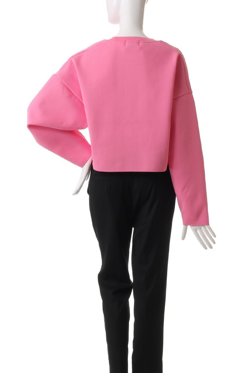 【スタニングルアー/STUNNING LURE】のアモッサショートプルオーバー 人気、トレンドファッション・服の通販 founy(ファニー) 　ファッション　Fashion　レディースファッション　Fashion for Women　トップス・カットソー　Cut & Sew Tops　シャツ・ブラウス・オフィスカジュアル　Elegant Blouses & Button-Ups　カジュアルプルオーバー・ニットトップス　Pullovers & Knit Tops / Casual Pullovers　ショート　Short, Short Length　シンプル　Simple, Minimal　スリーブ　Sleeve, Long Sleeve / Short Sleeve　ロング　Long, Long-Length　春　Spring　other-4|ID: prp329100003845030 ipo3291000000032909389