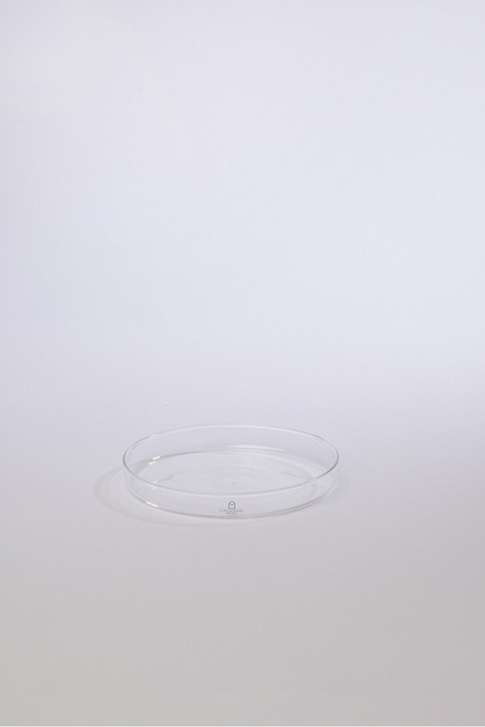 【エル グルメ/ELLE gourmet】の【ICHENDORF】PIUMA saucer for tea cup インテリア・キッズ・メンズ・レディースファッション・服の通販 founy(ファニー) https://founy.com/ ファッション Fashion レディースファッション WOMEN UNISEX ガラス グラス フォルム NEW・新作・新着・新入荷 New Arrivals |ID: prp329100003881322 ipo3291000000025556439
