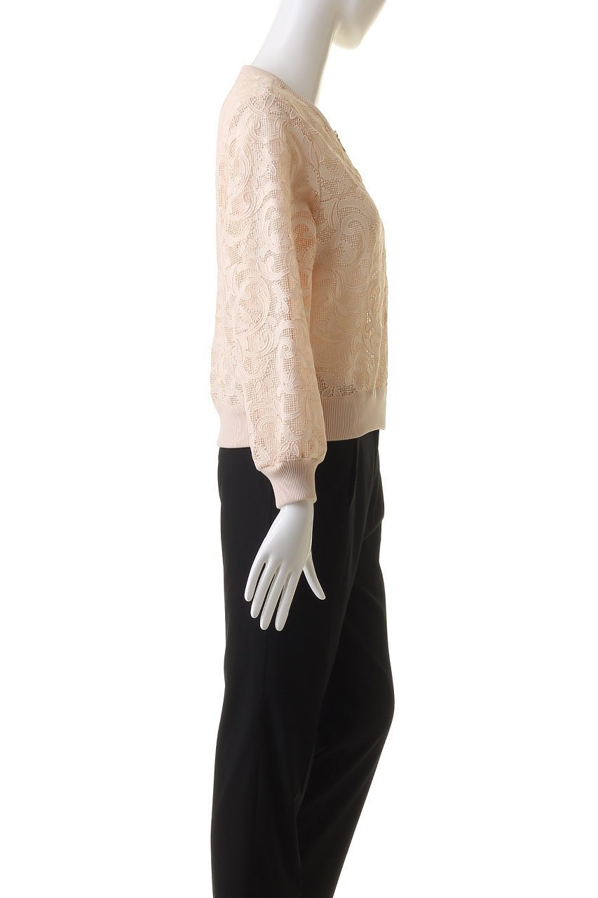 【アナイ/ANAYI】のレースブルゾン 人気、トレンドファッション・服の通販 founy(ファニー) 　ファッション　Fashion　レディースファッション　Fashion for Women　アウター　Coat / Outerwear Collection　レディースジャケット・軽アウター　Jackets　ブルゾンジャケット・スポーティアウター　Blouson Jackets　ジャケット　Jacket, Outerwear　ブルゾン　Blouson, Bomber Jacket　レース　Lace, Lace Fabric　エレガント 上品　Elegant　再入荷　Restock / Back in Stock　other-3|ID: prp329100003912691 ipo3291000000032958062
