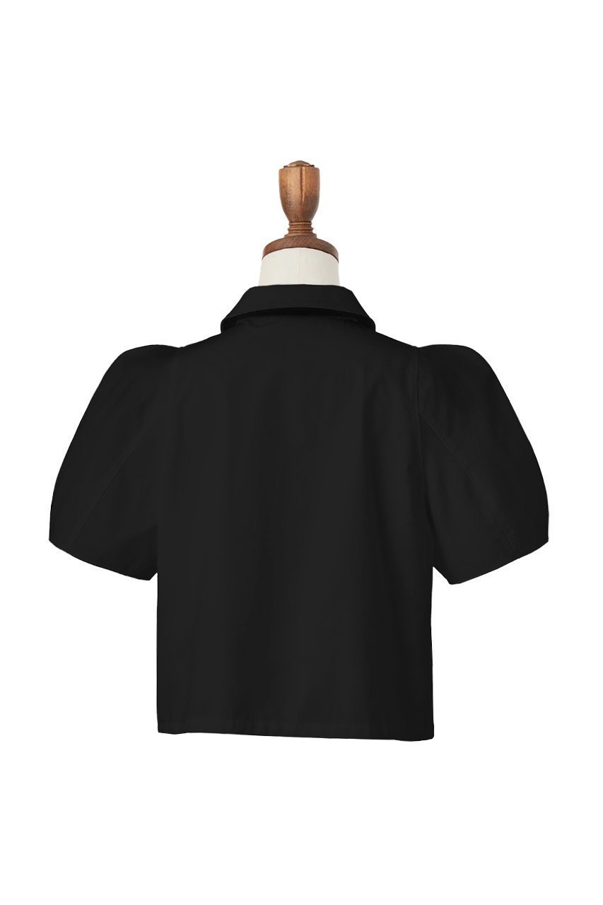 【デイジーリン/DAISY LIN】のBlouse “Lady Anne” 人気、トレンドファッション・服の通販 founy(ファニー) 　ファッション　Fashion　レディースファッション　Fashion for Women　トップス・カットソー　Cut & Sew Tops　シャツ・ブラウス・オフィスカジュアル　Elegant Blouses & Button-Ups　おすすめ　Recommended / Our Picks　ショート　Short, Short Length　シンプル　Simple, Minimal　ストレート　Straight, Straight Cut　スリーブ　Sleeve, Long Sleeve / Short Sleeve　ベルベット　Velvet, Velvety　リボン　Ribbon, Bow　ワイド　Wide, Wide Fit　other-3|ID: prp329100003940307 ipo3291000000031459586