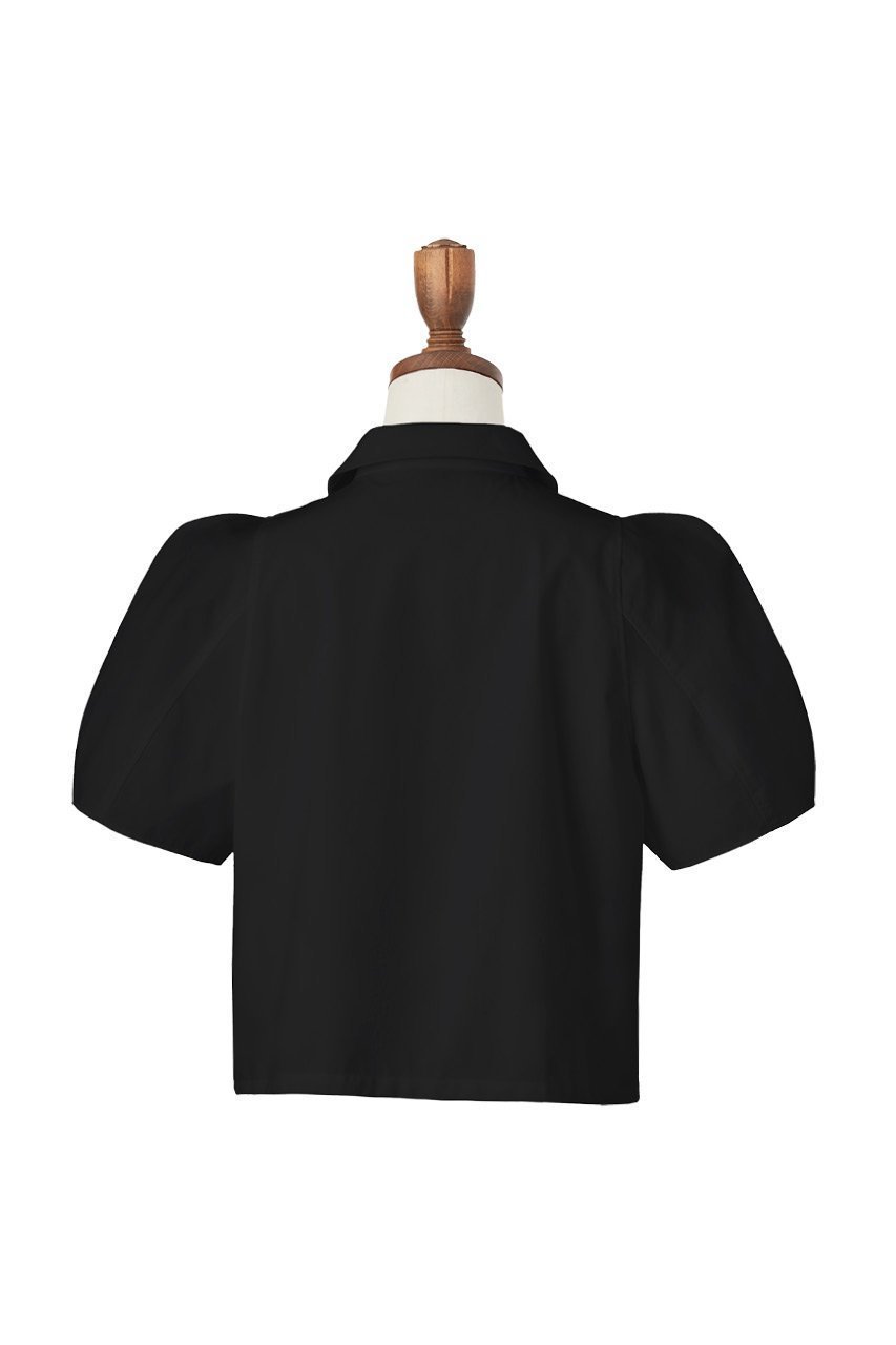 【デイジーリン/DAISY LIN】のBlouse “Lady Anne” 人気、トレンドファッション・服の通販 founy(ファニー) 　ファッション　Fashion　レディースファッション　Fashion for Women　トップス・カットソー　Cut & Sew Tops　シャツ・ブラウス・オフィスカジュアル　Elegant Blouses & Button-Ups　おすすめ　Recommended / Our Picks　ショート　Short, Short Length　シンプル　Simple, Minimal　ストレート　Straight, Straight Cut　スリーブ　Sleeve, Long Sleeve / Short Sleeve　ベルベット　Velvet, Velvety　リボン　Ribbon, Bow　ワイド　Wide, Wide Fit　other-4|ID: prp329100003940307 ipo3291000000031459588