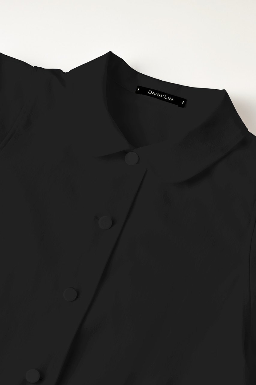 【デイジーリン/DAISY LIN】のBlouse “Lady Anne” 人気、トレンドファッション・服の通販 founy(ファニー) 　ファッション　Fashion　レディースファッション　Fashion for Women　トップス・カットソー　Cut & Sew Tops　シャツ・ブラウス・オフィスカジュアル　Elegant Blouses & Button-Ups　おすすめ　Recommended / Our Picks　ショート　Short, Short Length　シンプル　Simple, Minimal　ストレート　Straight, Straight Cut　スリーブ　Sleeve, Long Sleeve / Short Sleeve　ベルベット　Velvet, Velvety　リボン　Ribbon, Bow　ワイド　Wide, Wide Fit　other-6|ID: prp329100003940307 ipo3291000000031459592