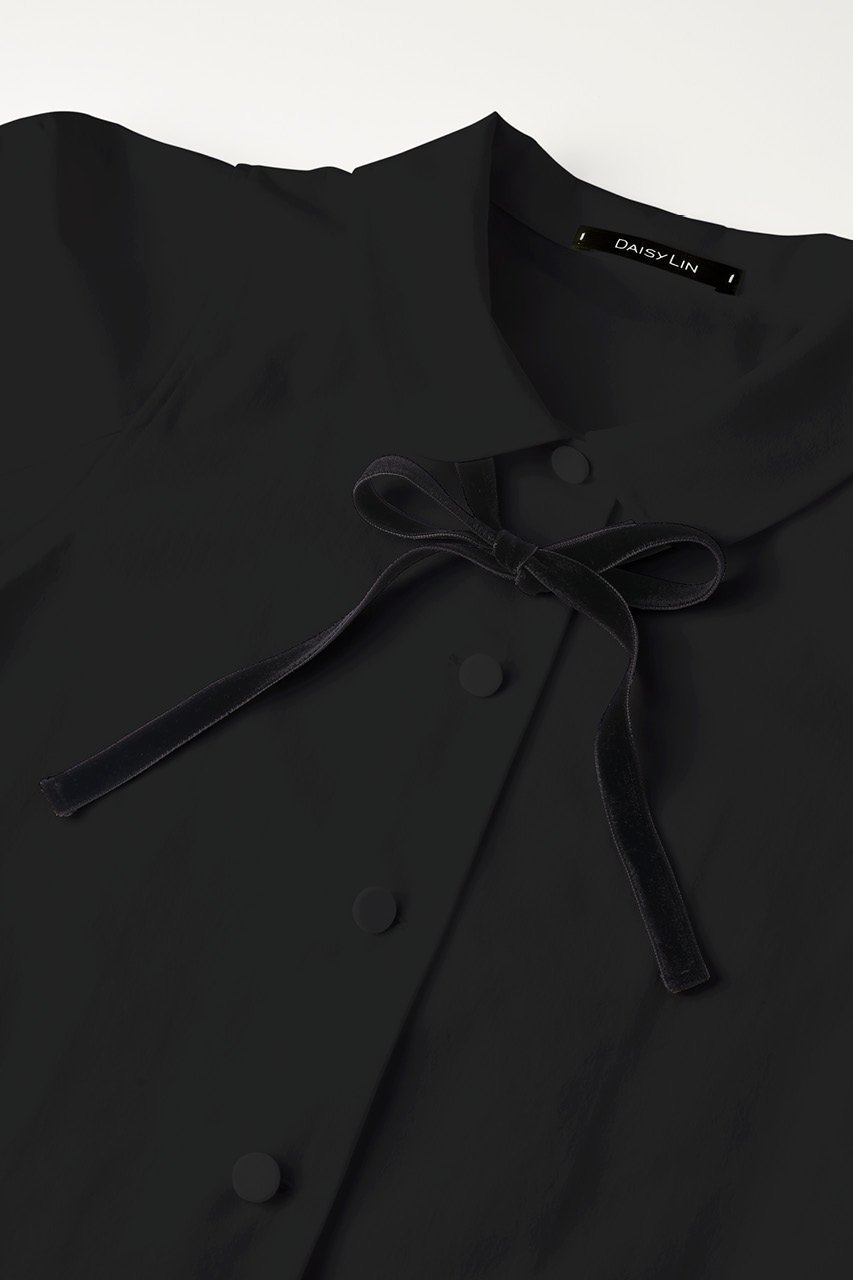 【デイジーリン/DAISY LIN】のBlouse “Lady Anne” 人気、トレンドファッション・服の通販 founy(ファニー) ファッション Fashion レディースファッション Fashion for Women トップス・カットソー Cut & Sew Tops シャツ・ブラウス・オフィスカジュアル Elegant Blouses & Button-Ups おすすめ Recommended / Our Picks ショート Short, Short Length シンプル Simple, Minimal ストレート Straight, Straight Cut スリーブ Sleeve, Long Sleeve / Short Sleeve ベルベット Velvet, Velvety リボン Ribbon, Bow ワイド Wide, Wide Fit other-5|ID: prp329100003940307 ipo3291000000036720732