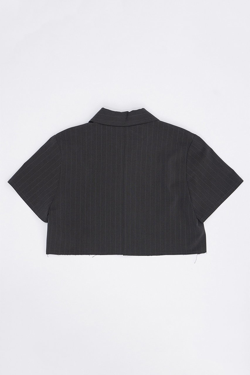 【プランク プロジェクト/PRANK PROJECT】のウーステッドストライプクロップドポロトップ / Worsted Striped Cropped Polo Top 人気、トレンドファッション・服の通販 founy(ファニー) 　ファッション　Fashion　レディースファッション　Fashion for Women　トップス・カットソー　Cut & Sew Tops　シャツ・ブラウス・オフィスカジュアル　Elegant Blouses & Button-Ups　おすすめ　Recommended / Our Picks　クロップド　Cropped, Short Length　クール　Cool, Chic　ショート　Short, Short Length　ストライプ　Stripe, Striped Pattern　スリーブ　Sleeve, Long Sleeve / Short Sleeve　セットアップ　Set-Up, Coordinated Outfit　トレンド　Trend, Trending Now　ポロシャツ　Polo Shirt, Collared Tee　マキシ　Maxi, Full Length　マニッシュ　Mannish, Boyish　other-5|ID: prp329100003942429 ipo3291000000032910222