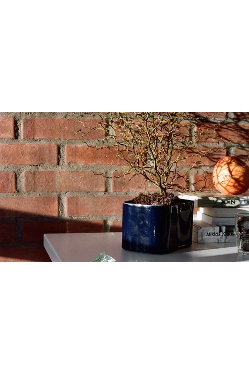 【センプレ/SEMPRE / GOODS】の【Artek】リーヒティエプラントポット (小) 人気、トレンドファッション・服の通販 founy(ファニー) フラワー Flower, Floral 夏 Summer other-3|ID: prp329100003955068 ipo3291000000031449189