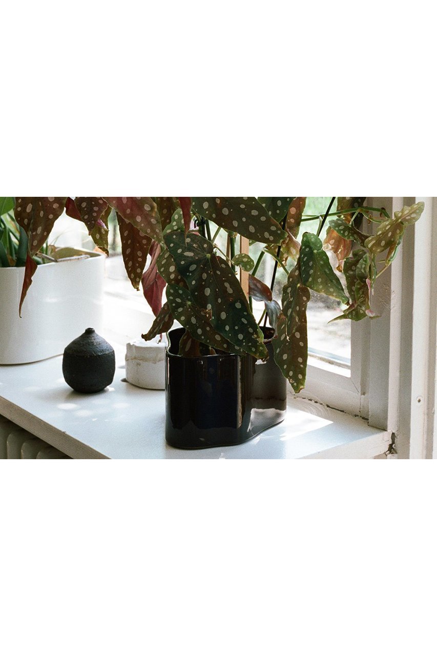 【センプレ/SEMPRE / GOODS】の【Artek】リーヒティエプラントポット (小) 人気、トレンドファッション・服の通販 founy(ファニー) フラワー Flower, Floral 夏 Summer other-5|ID: prp329100003955068 ipo3291000000031449191