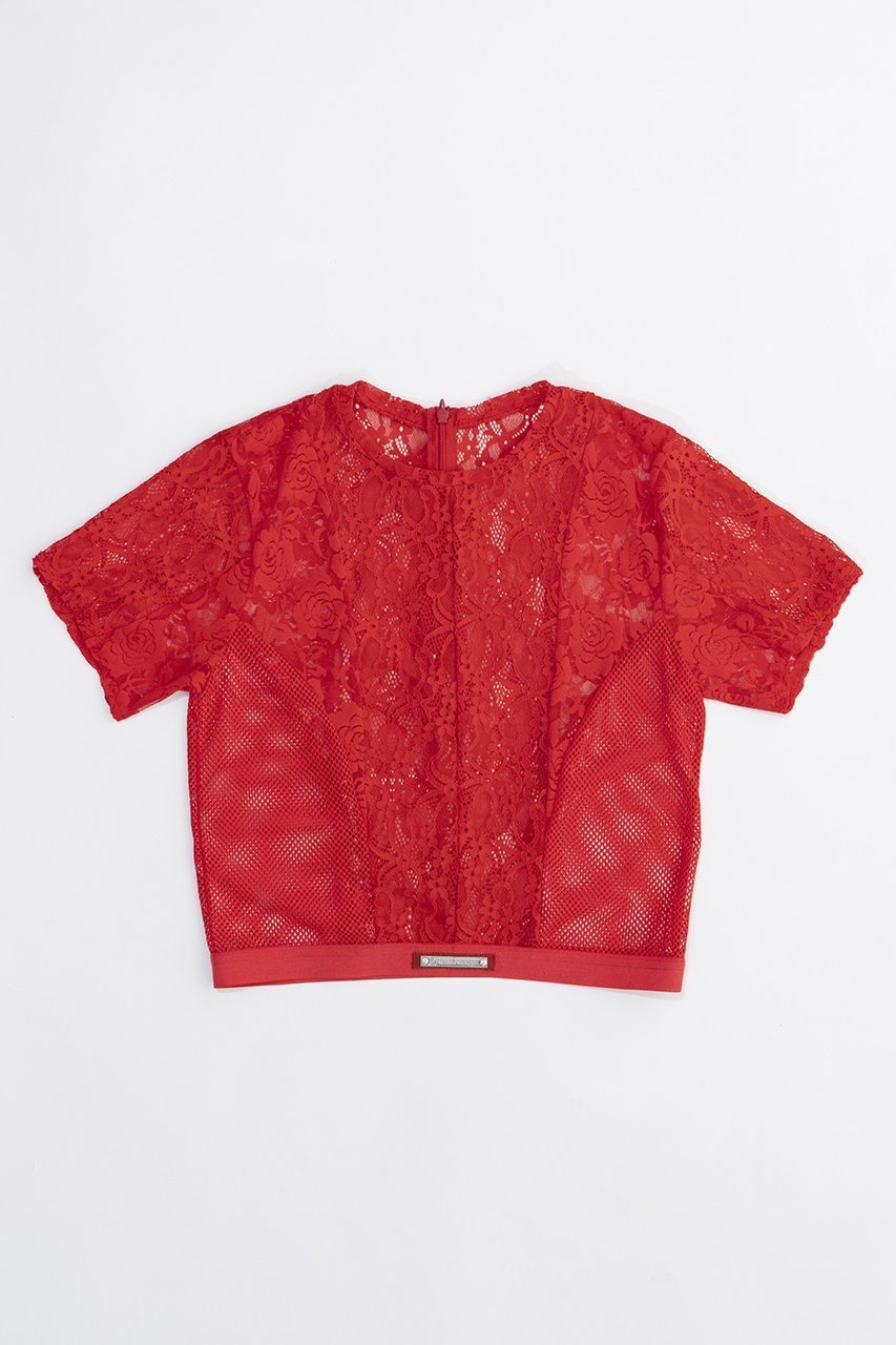 【プランク プロジェクト/PRANK PROJECT】のレースクロップドTEE / Lace Cropped Tee インテリア・キッズ・メンズ・レディースファッション・服の通販 founy(ファウニー) 　ファッション　Fashion　レディースファッション　Fashion for Women　トップス・カットソー　Cut & Sew Tops　シャツ・ブラウス・オフィスカジュアル　Elegant Blouses & Button-Ups　ロングTシャツ・Tシャツ　Longline T-Shirts & Tees　カットソー・ベーシックTシャツ　Cut-and-Sewn Tops / Stretch Tees & Basics　クロップド　Cropped, Short Length　コルセット　Corset, Bustier　ショート　Short, Short Length　ストレッチ　Stretch, Stretchy Fabric　スリーブ　Sleeve, Long Sleeve / Short Sleeve　バランス　Balance, Style Balance　ミックス　Mix, Mixed Style　レース　Lace, Lace Fabric　RED(レッド)|ID: prp329100003964936 ipo3291000000036985356