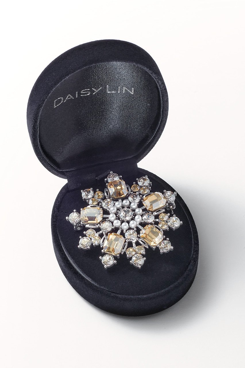 【デイジーリン/DAISY LIN】のPower Stone Brooch & Necklace 人気、トレンドファッション・服の通販 founy(ファニー) 　ファッション　Fashion　レディースファッション　Ladies' Fashion Online　ジュエリー　Jewelry　ネックレス　Necklaces　ギフト プレゼント　Gift Present　チェーン　Chain　ネックレス　Necklace　ブローチ　Brooch　ボックス　Box　エレガント 上品　Elegant　人気　Popularity　再入荷　Restock/Back In Stock/Re Arrival　other-6|ID: prp329100003966136 ipo3291000000031455514