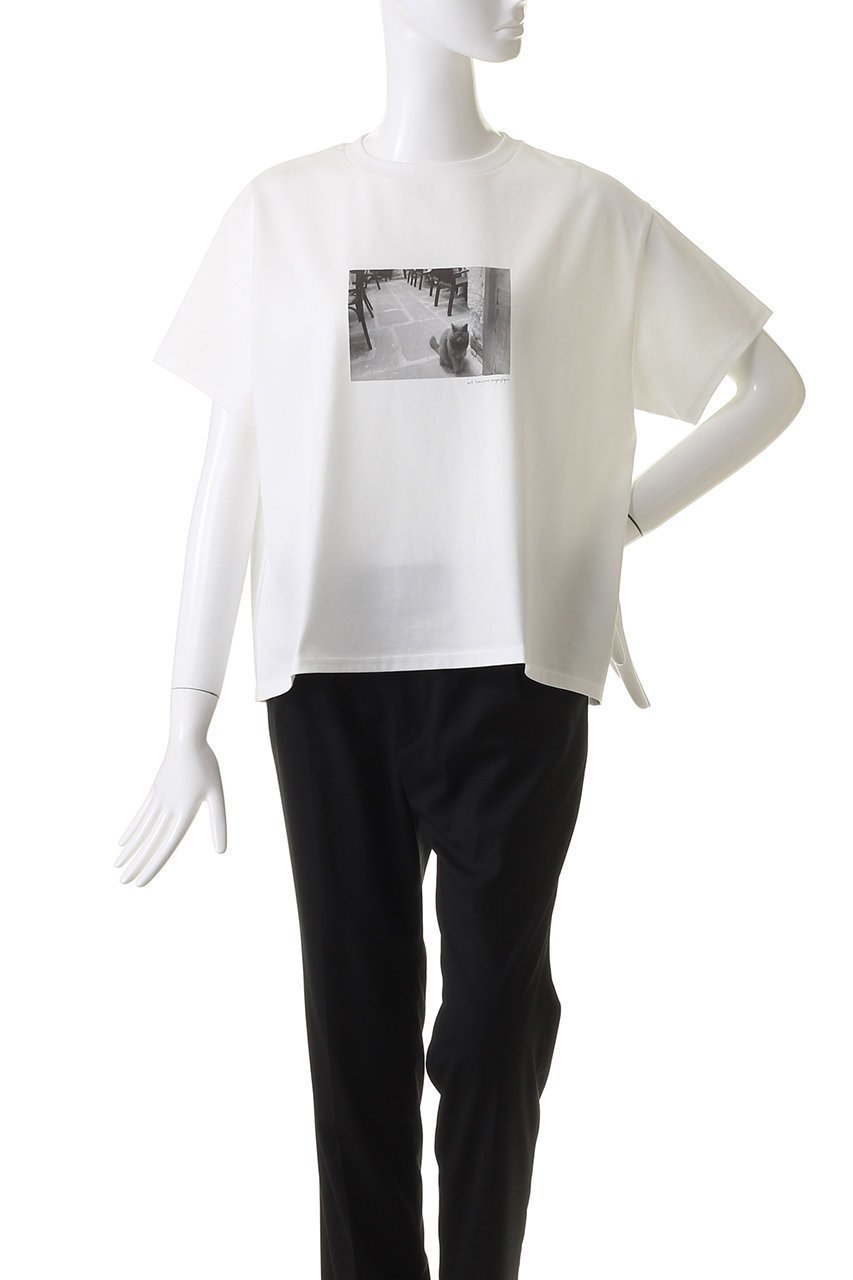 【アロー/aLORS】の【ELLE SHOP 限定】(Le chat)est toujours magnifique 人気、トレンドファッション・服の通販 founy(ファニー) 　ファッション　Fashion　レディースファッション　WOMEN　トップス・カットソー　Tops/Tshirt　シャツ/ブラウス　Shirts/Blouses　ロング / Tシャツ　T-Shirts　カットソー　Cut and Sewn　帽子　Hats　ショート　Short　スペシャル　Special　スリーブ　Sleeve　猫　Cat　フランス　France　プリント　Print　other-2|ID: prp329100003972578 ipo3291000000031454852