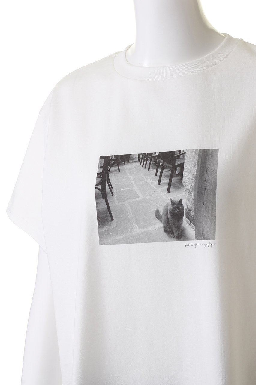 【アロー/aLORS】の【ELLE SHOP 限定】(Le chat)est toujours magnifique 人気、トレンドファッション・服の通販 founy(ファニー) 　ファッション　Fashion　レディースファッション　WOMEN　トップス・カットソー　Tops/Tshirt　シャツ/ブラウス　Shirts/Blouses　ロング / Tシャツ　T-Shirts　カットソー　Cut and Sewn　帽子　Hats　ショート　Short　スペシャル　Special　スリーブ　Sleeve　猫　Cat　フランス　France　プリント　Print　other-5|ID: prp329100003972578 ipo3291000000031454855