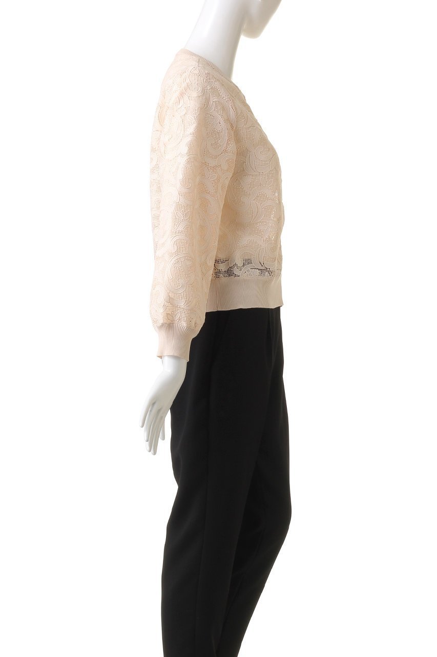 【アナイ/ANAYI】のレースブルゾン 人気、トレンドファッション・服の通販 founy(ファニー) 　ファッション　Fashion　レディースファッション　Fashion for Women　アウター　Coat / Outerwear Collection　レディースジャケット・軽アウター　Jackets　ブルゾンジャケット・スポーティアウター　Blouson Jackets　おすすめ　Recommended / Our Picks　ジャケット　Jacket, Outerwear　ブルゾン　Blouson, Bomber Jacket　リブニット　Rib Knit, Ribbed Knit　レース　Lace, Lace Fabric　夏　Summer　other-3|ID: prp329100003973858 ipo3291000000032955696
